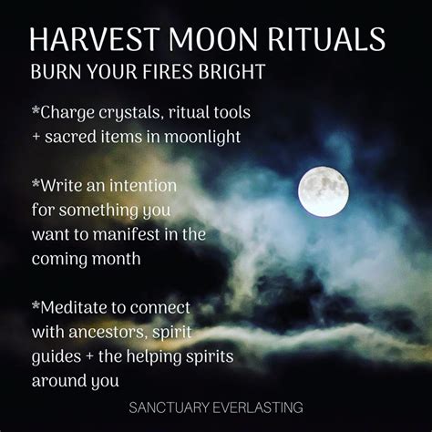 Wiccan Harvest Magic: Balancing the Elements for Rituals